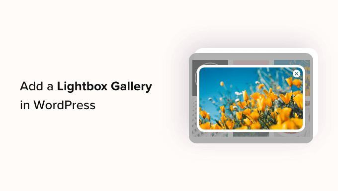 How To Add A Gallery In Wordpress With A Lightbox Effect Og.png
