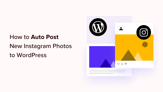 How To Automatically Post New Instagram Photos To Wordpress Og.png