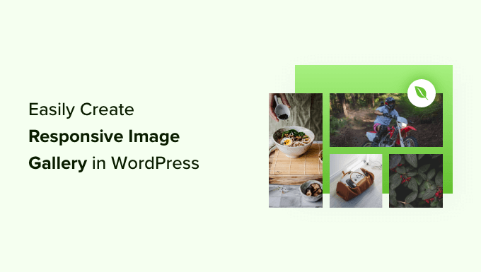 How To Easily Create Responsive Wordpress Image Galleries With Envira.png