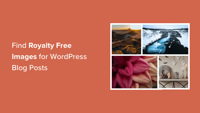 How To Find Royalty Free Images For Your Wordpress Blog Posts Og.png